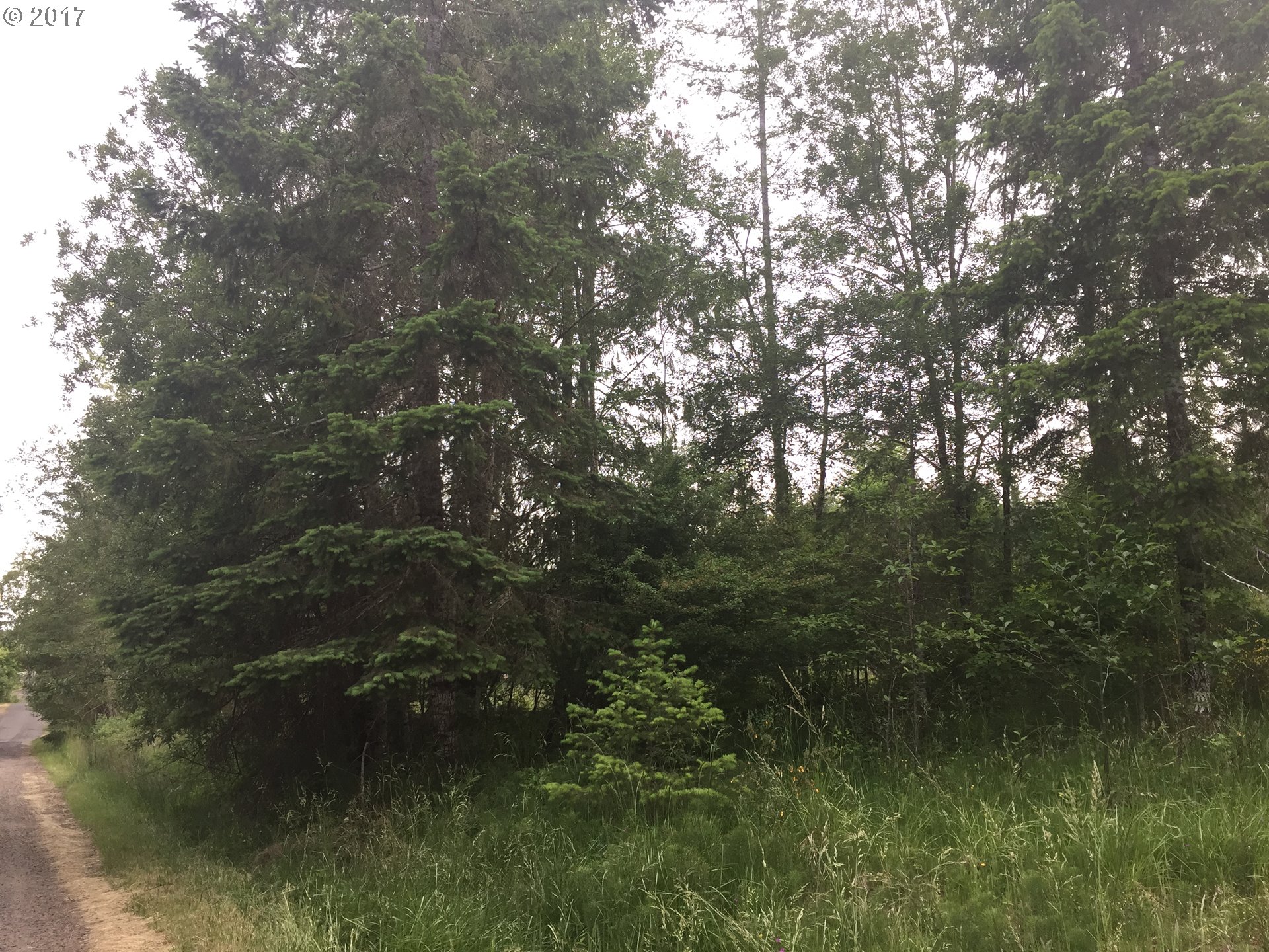 Second, Parcel 3 AVE, Vernonia, OR 97064