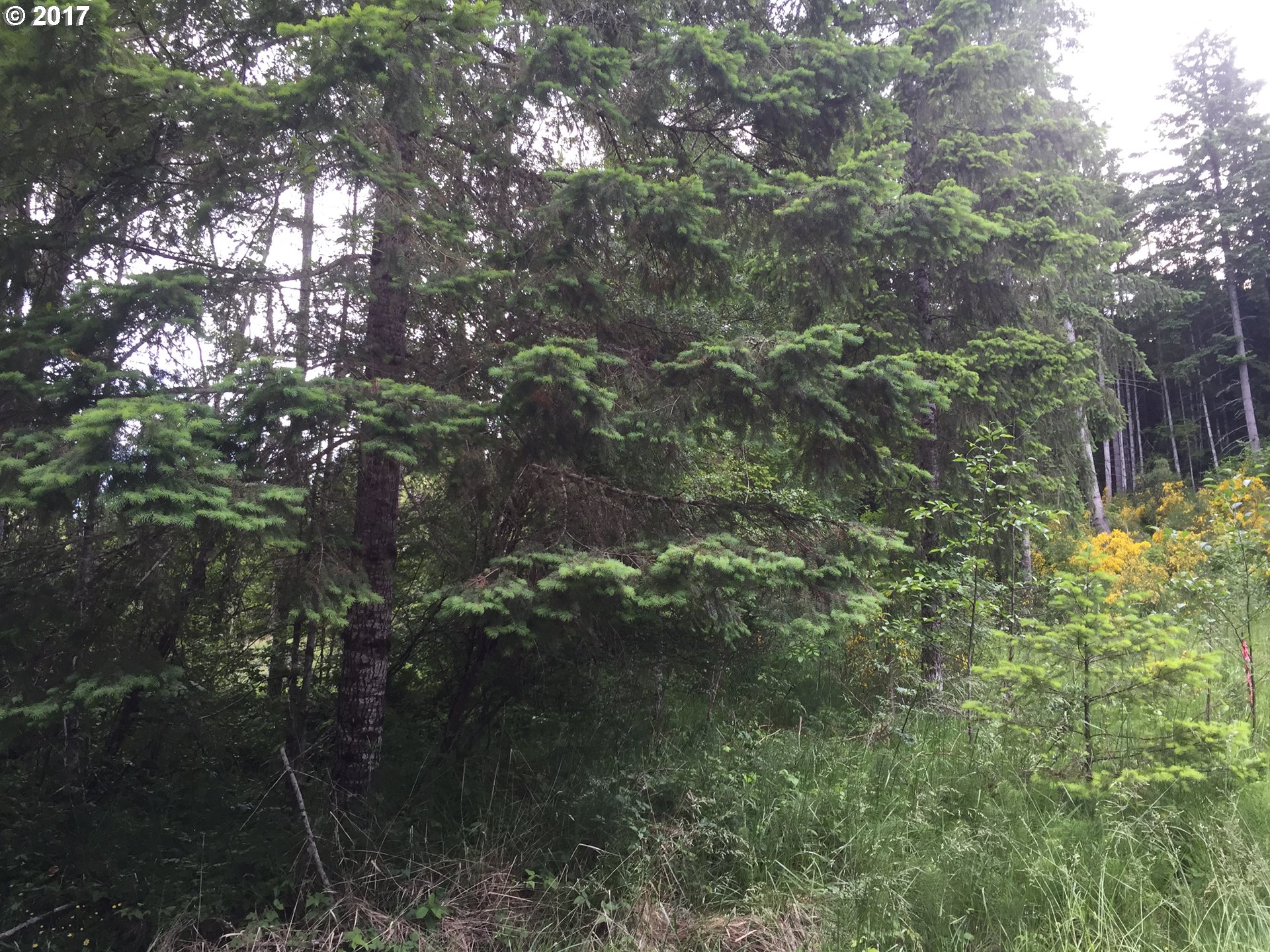 Second, Parcel 3 AVE, Vernonia, OR 97064