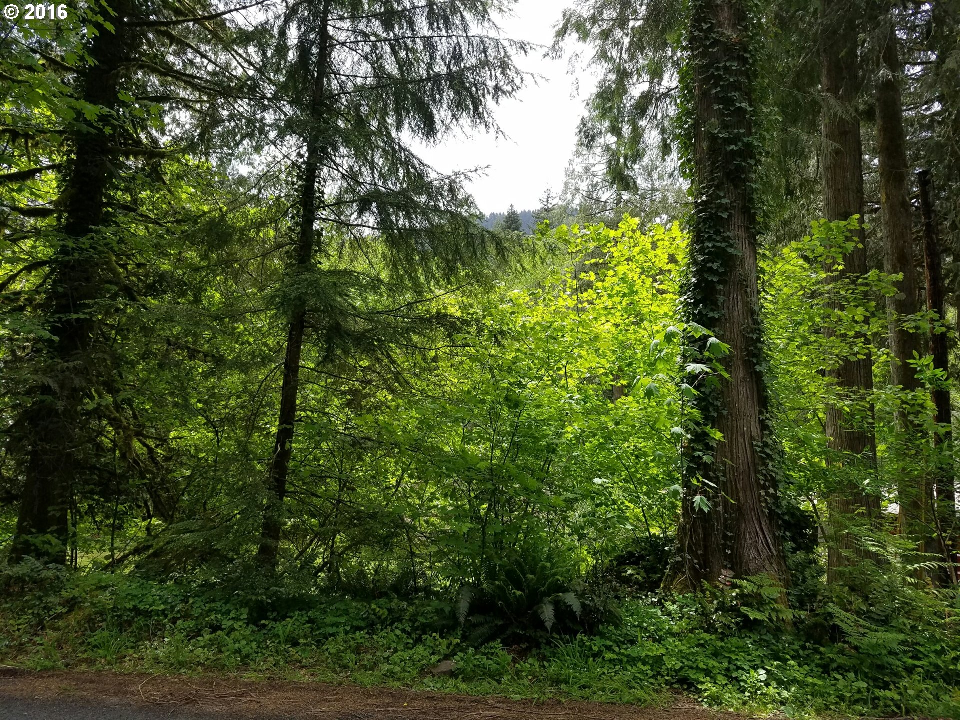 27325 E WELCHES RD, Welches, OR 97067