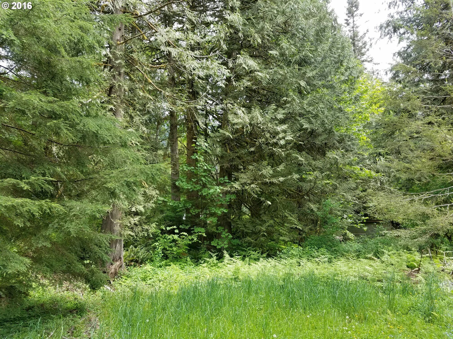 27325 E WELCHES RD, Welches, OR 97067