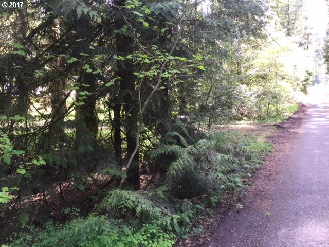 23180 E LATAURELLE AVE 33-37, Welches, OR 97067