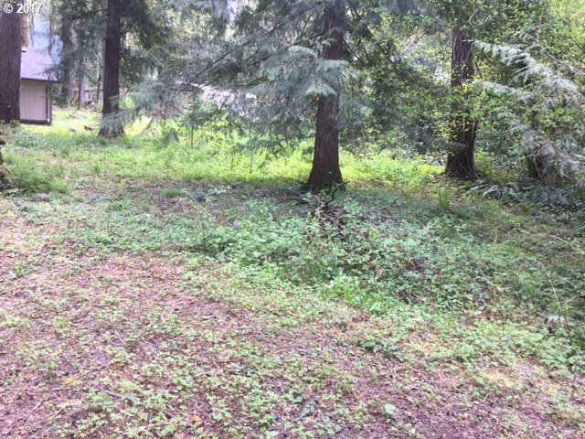 23180 E LATAURELLE AVE 33-37, Welches, OR 97067
