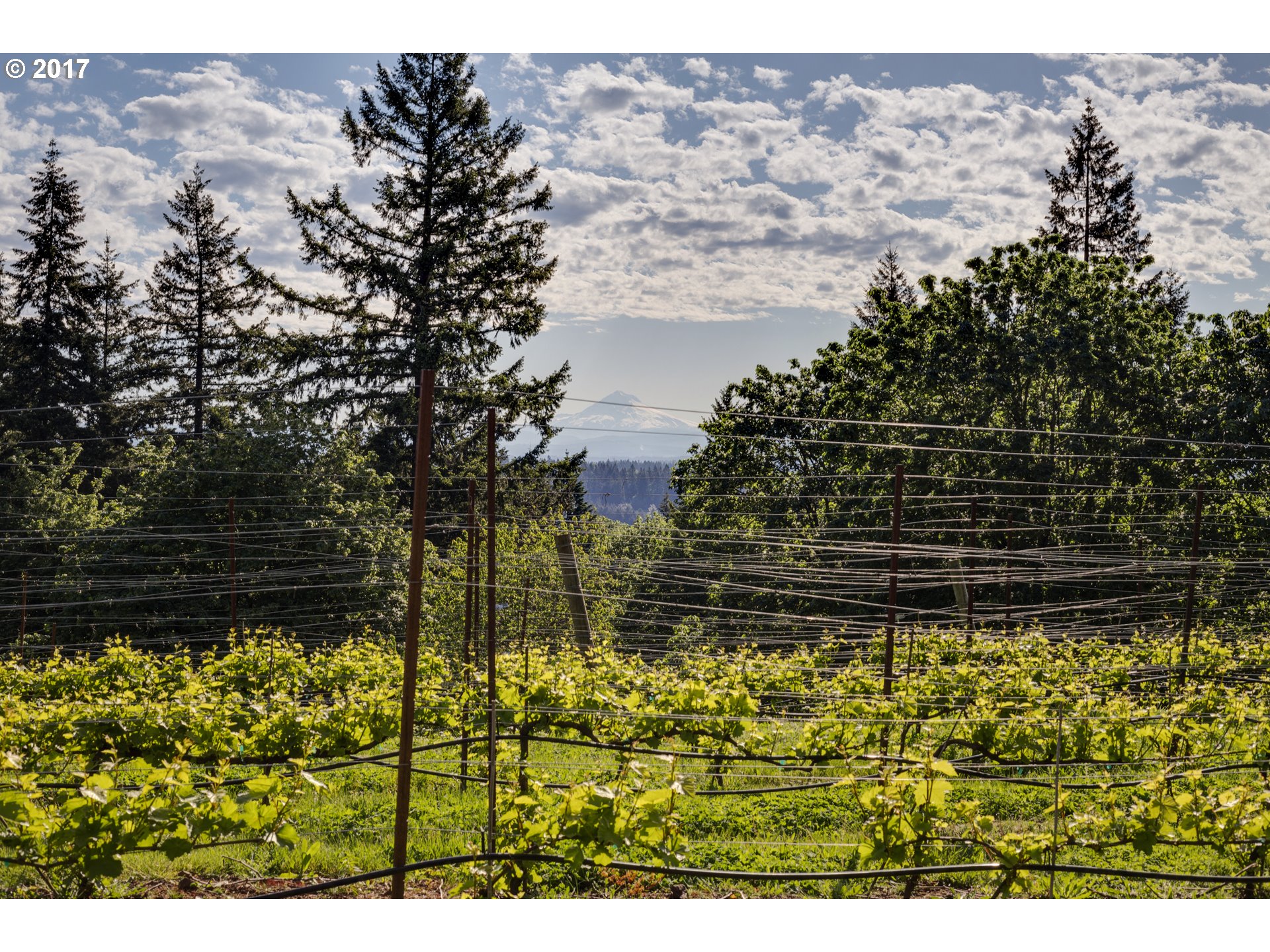 27737 SW Petes Mountain RD, West Linn, OR 97068