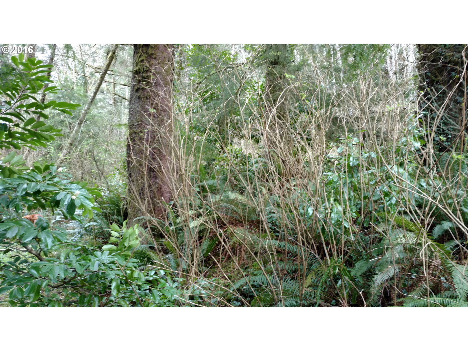 0000 Seventh, Bay City, OR 97107