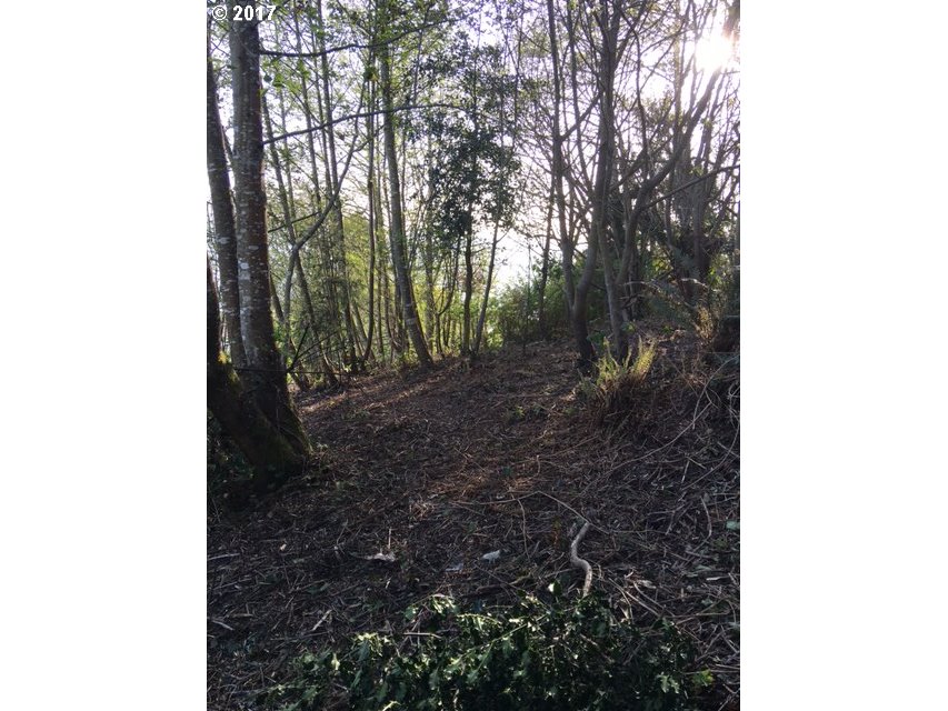 Portland AVE, Bay City, OR 97107