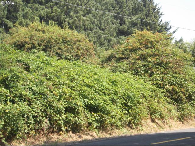 DEAN, Bay City, OR 97107