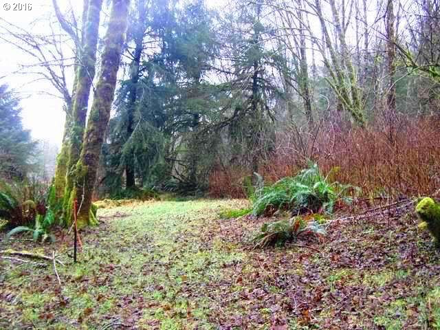 FARMER CREEK RD, Beaver, OR 97108