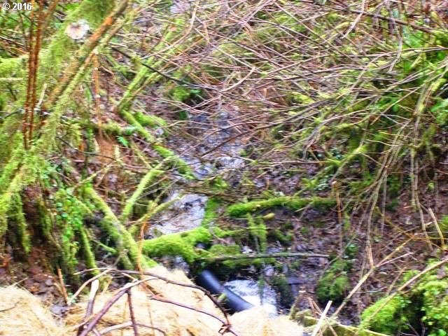 FARMER CREEK RD, Beaver, OR 97108