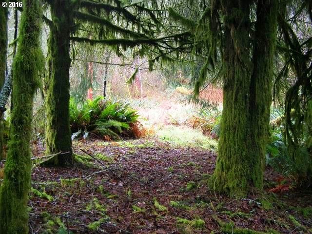FARMER CREEK RD, Beaver, OR 97108