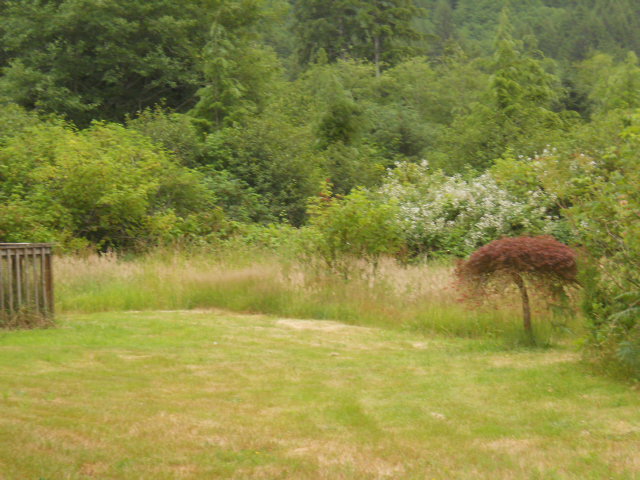 17545 Peerless LoopNehalem, OR, 97131Tillamook County