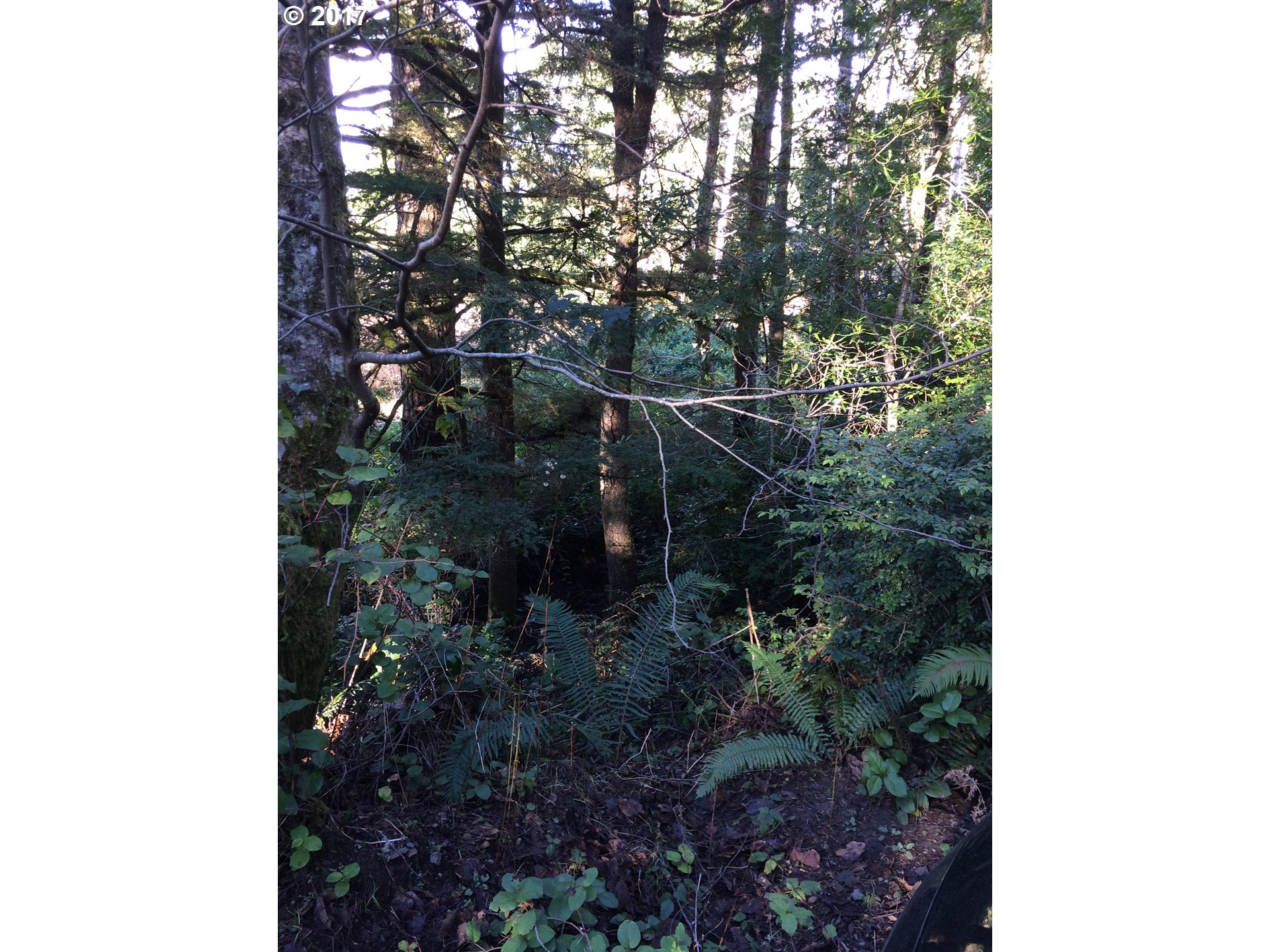 Highland DR, Oceanside, OR 97134