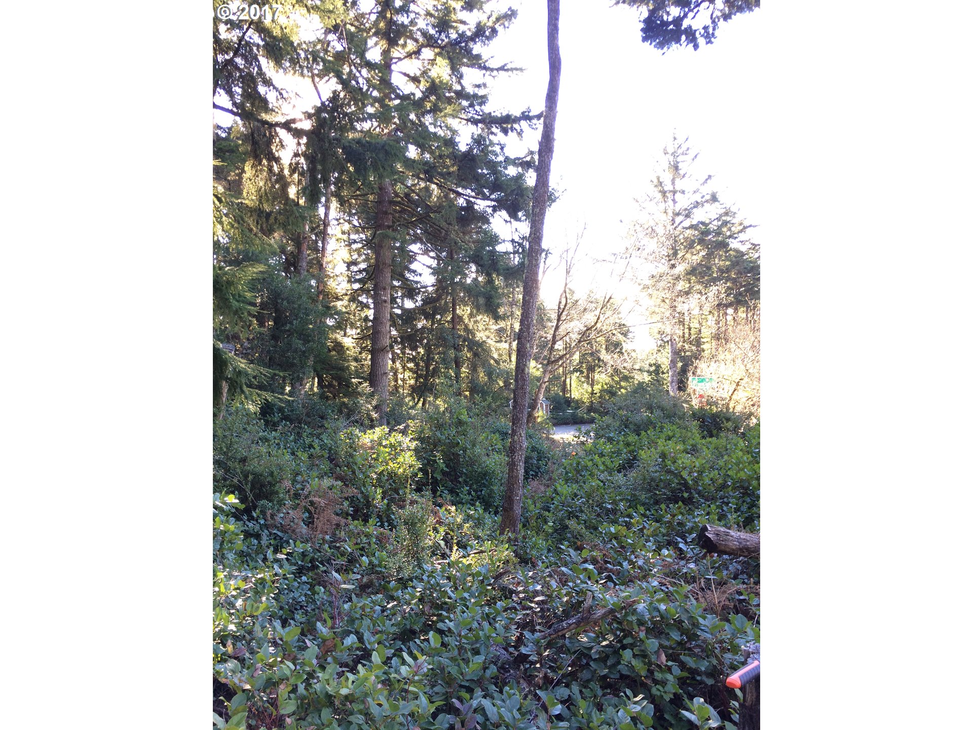 Highland DR, Oceanside, OR 97134