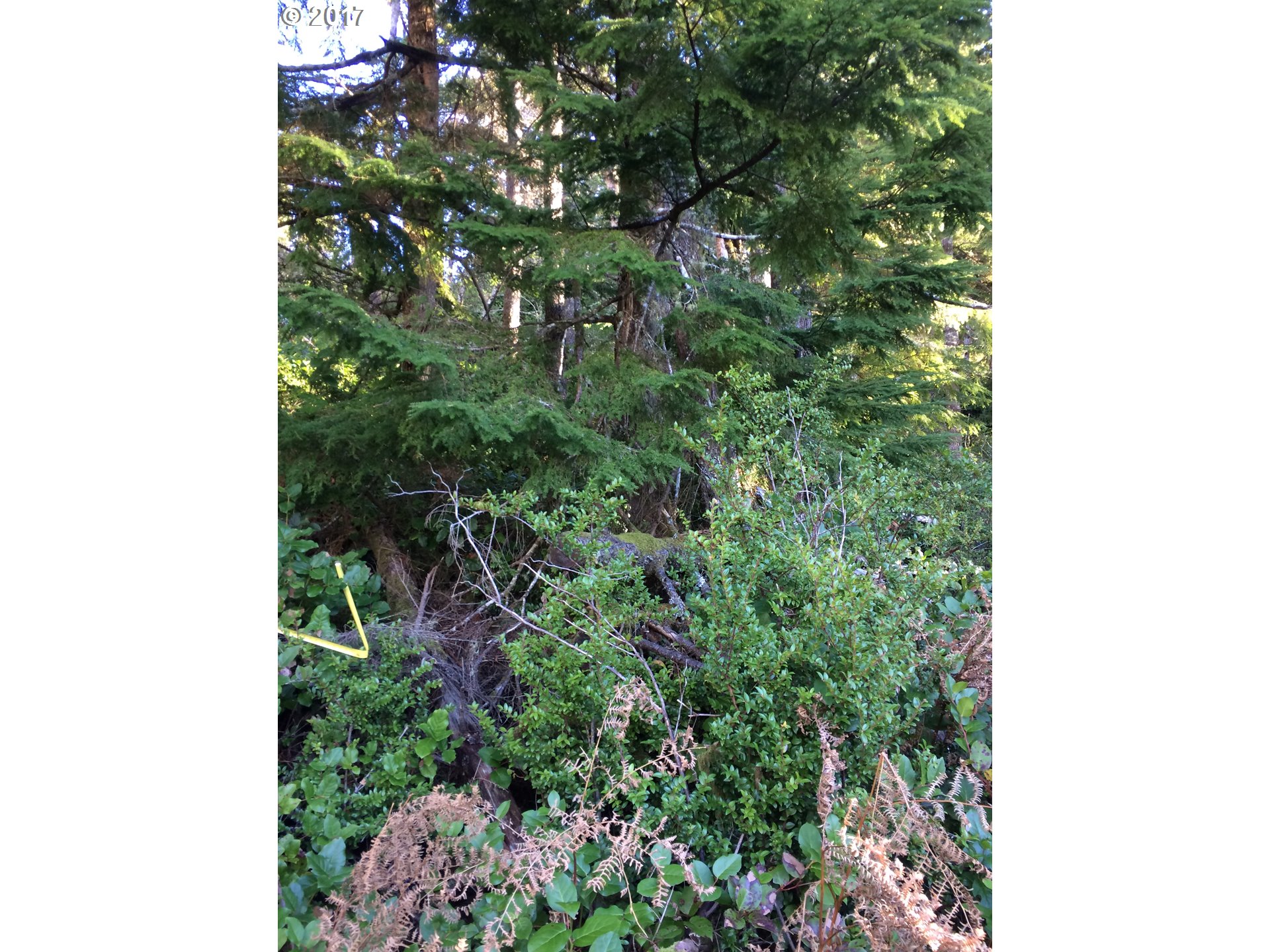 Highland DR, Oceanside, OR 97134