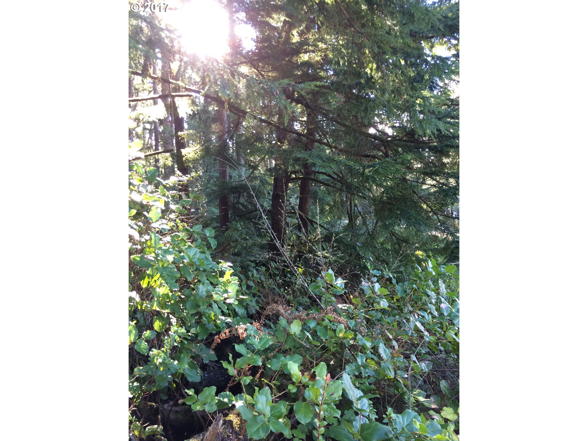 Highland DR, Oceanside, OR 97134