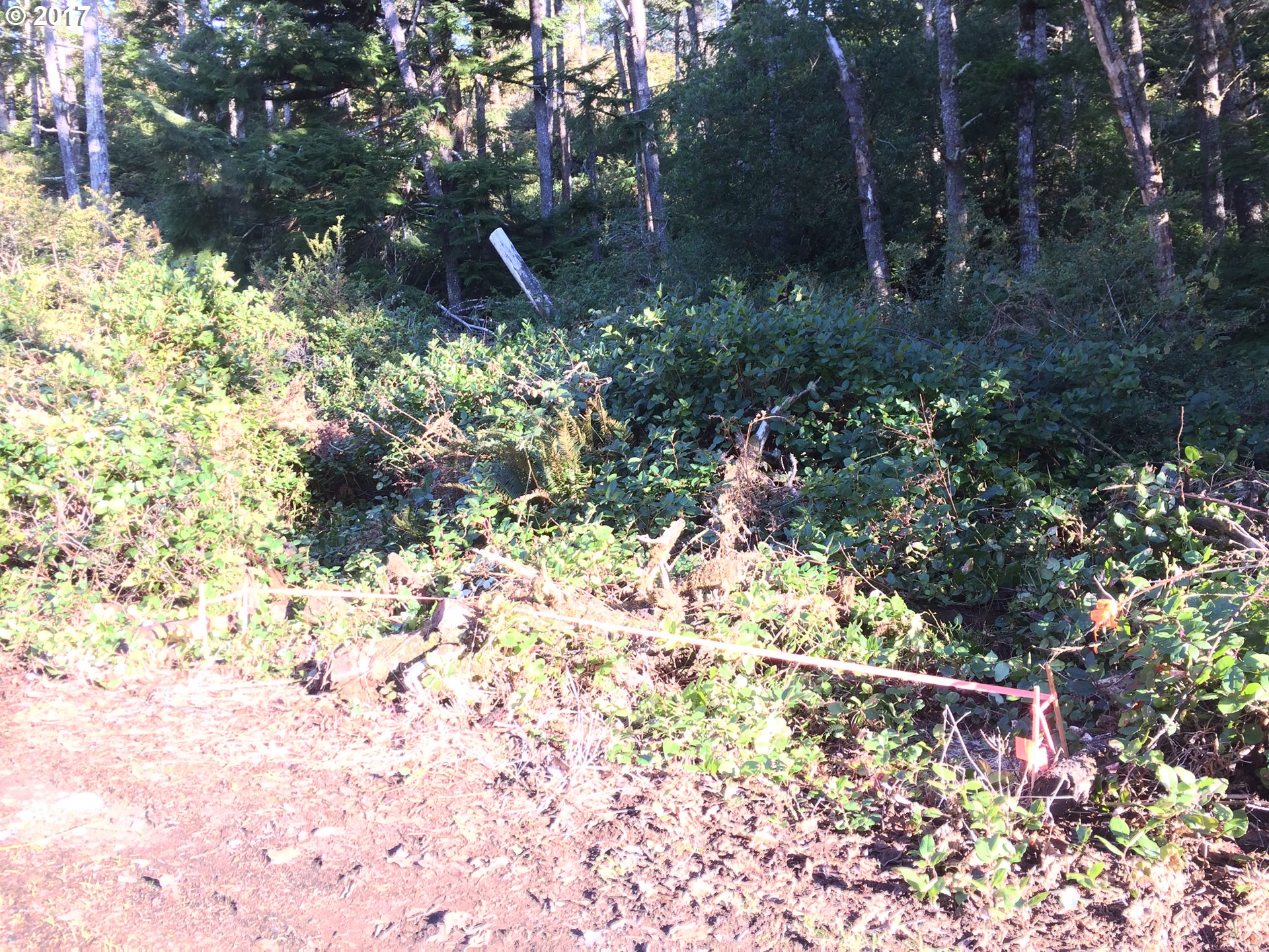 Highland DR, Oceanside, OR 97134