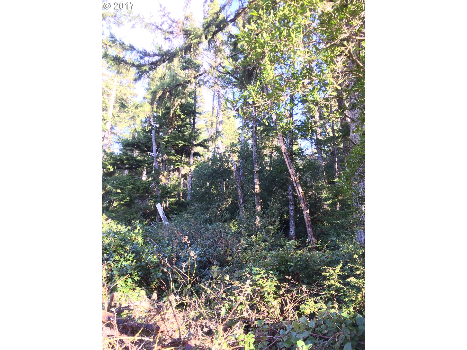 Highland DR, Oceanside, OR 97134