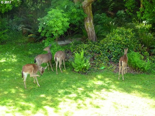 NE 17TH AVE, Rockaway Beach, OR 97136