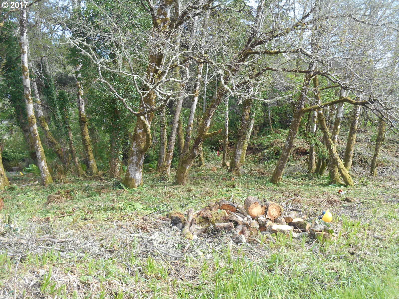 Dolphin ST, Rockaway Beach, OR 97136