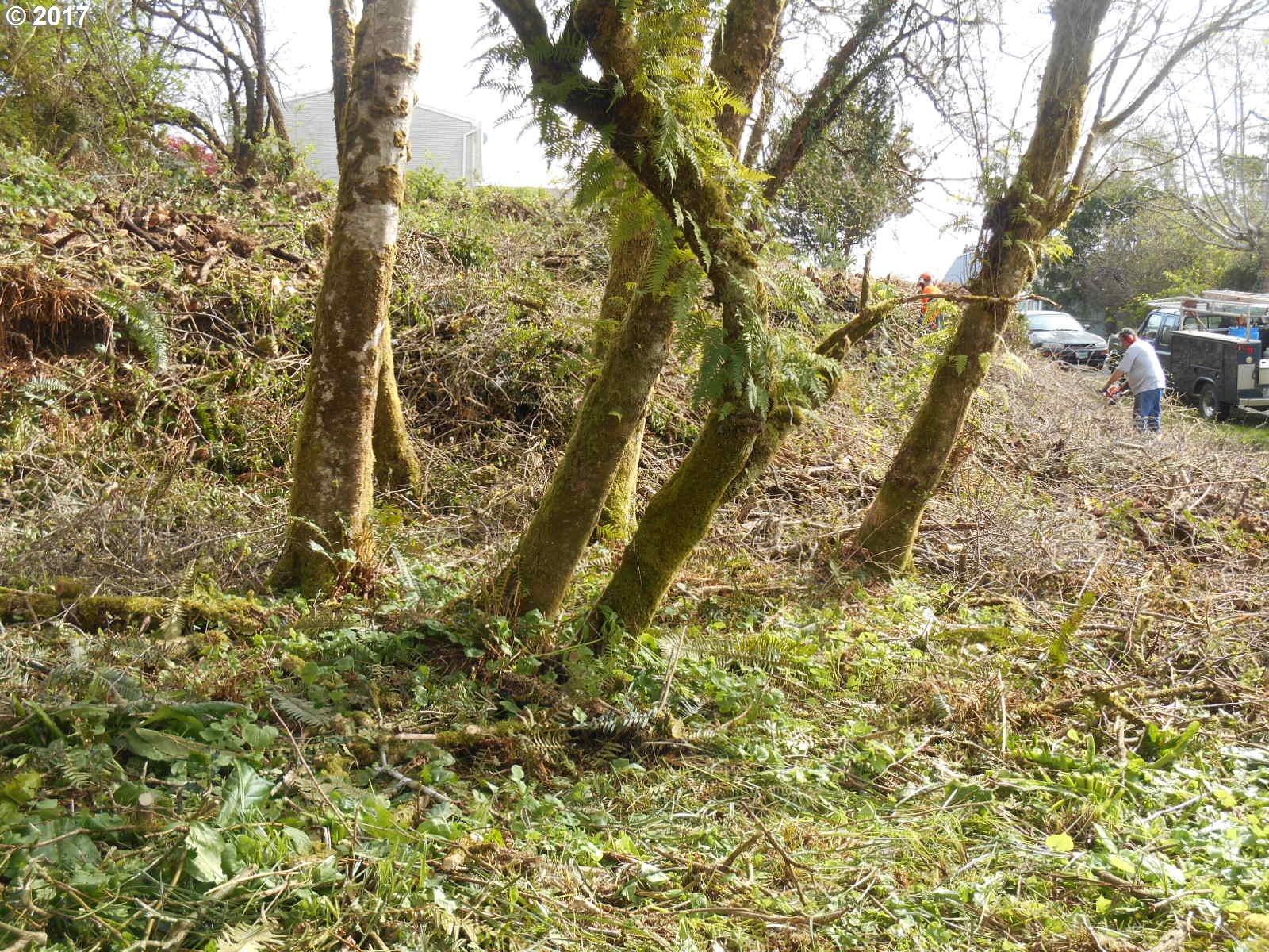 Dolphin ST, Rockaway Beach, OR 97136