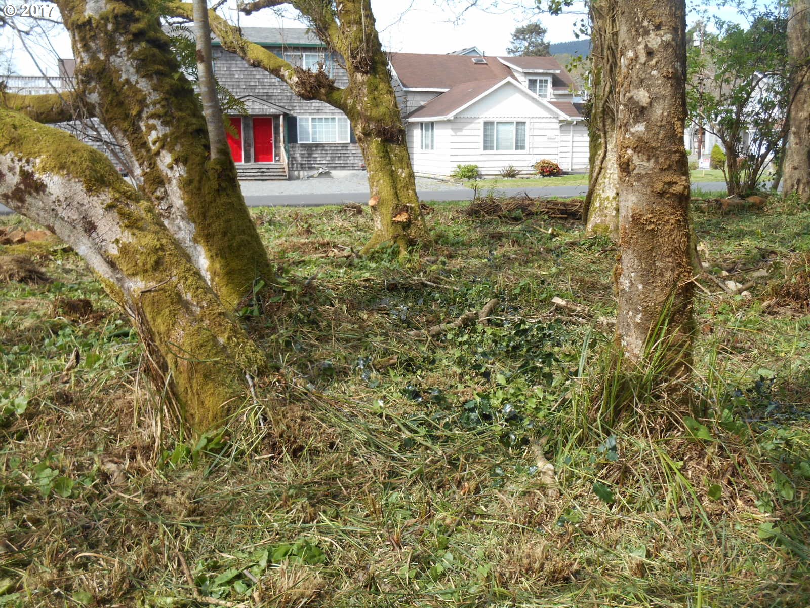 Dolphin ST, Rockaway Beach, OR 97136
