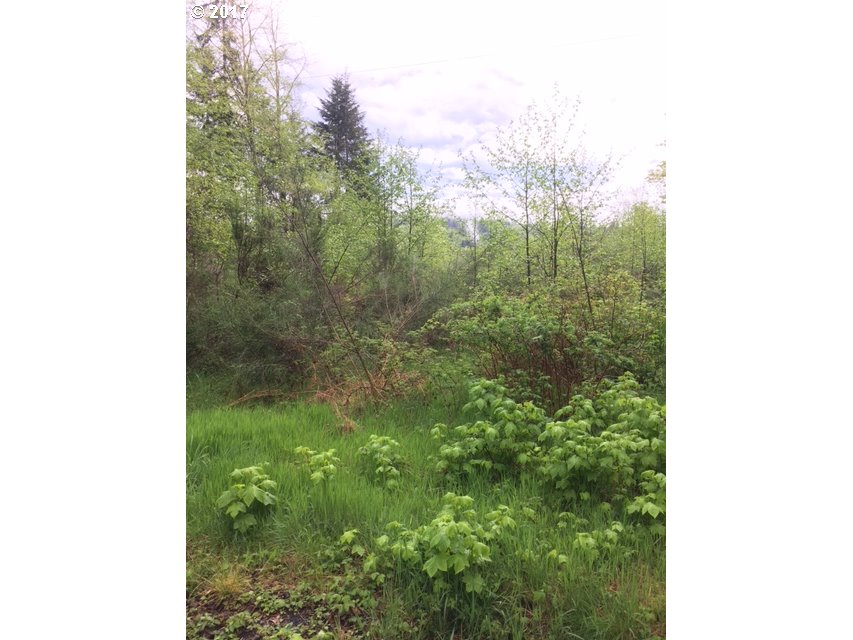 Red Bluff RD, Elsie, OR 97138