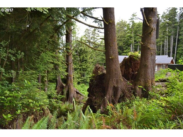 9TH ST NW, Cape Meares, OR 97141