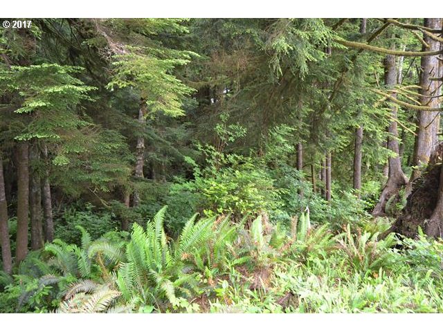 9TH ST NW, Cape Meares, OR 97141