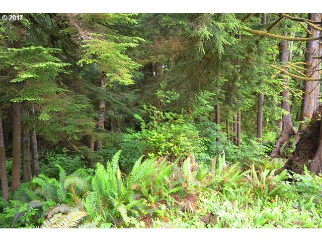 9TH ST NW, Cape Meares, OR 97141
