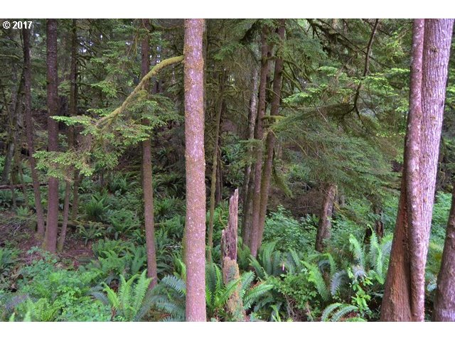 9TH ST NW, Cape Meares, OR 97141
