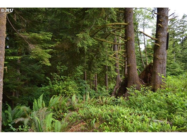 9TH ST NW, Cape Meares, OR 97141