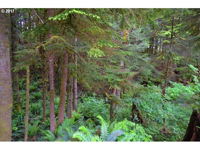 9TH ST NW, Cape Meares, OR 97141