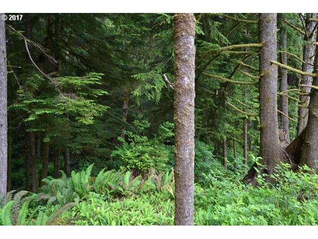 9TH ST NW, Cape Meares, OR 97141