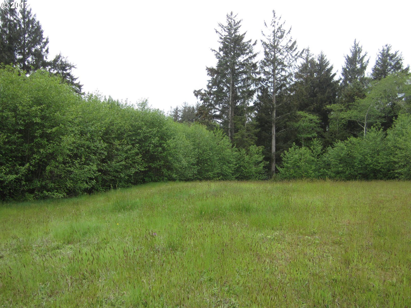 70 Wayfarer LN, Netarts, OR 97143