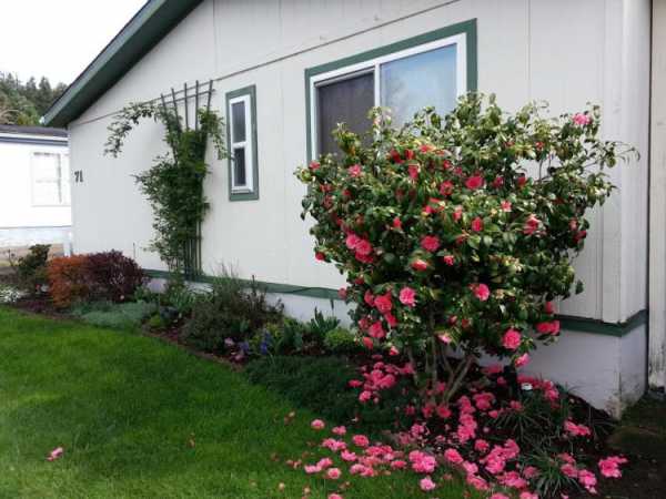 Mountain View Mobile Estates 13620 SW Beef Bend Rd #71Tigard, OR 97224