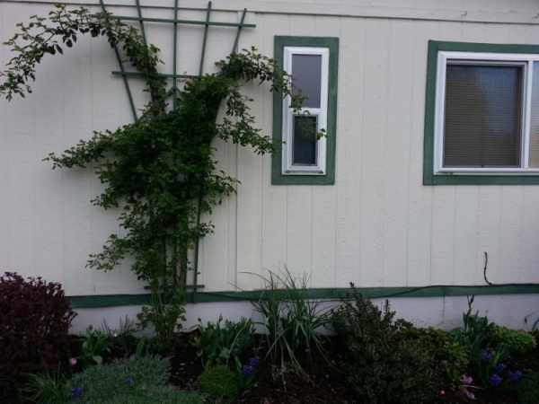 Mountain View Mobile Estates 13620 SW Beef Bend Rd #71Tigard, OR 97224