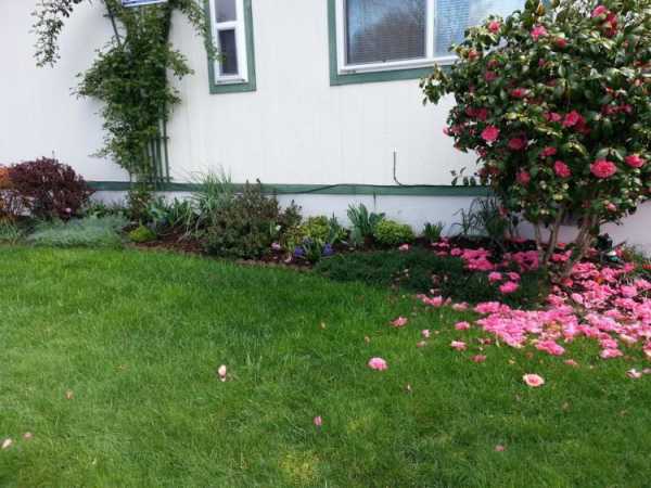 Mountain View Mobile Estates 13620 SW Beef Bend Rd #71Tigard, OR 97224
