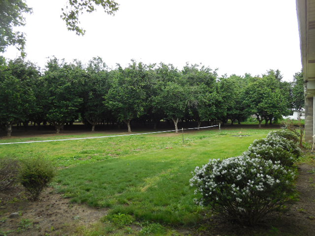 7095 Labish CenterSalem, OR, 97305Marion County