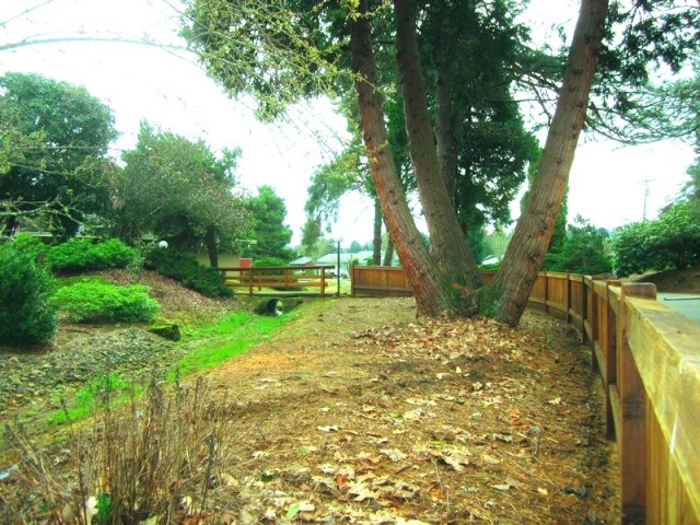 1365 Madras St SE #32Salem, OR, 97306Marion County