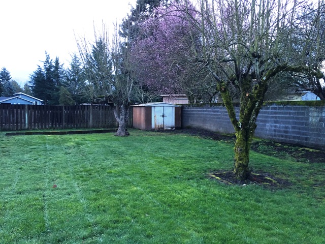 2326 34th Avenue SEAlbany, OR, 97322Linn County