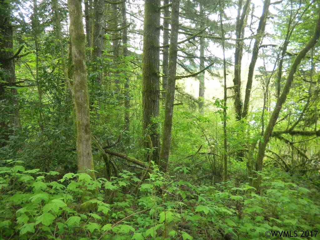 Bryant  St, Falls City, OR 97338