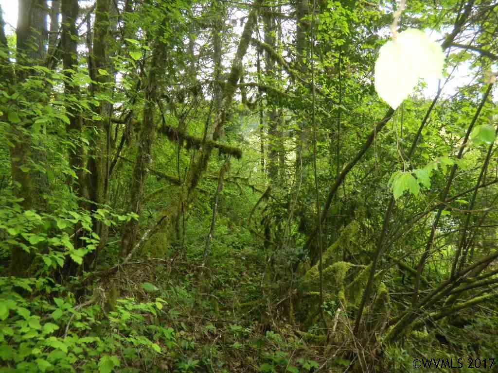 Bryant  St, Falls City, OR 97338