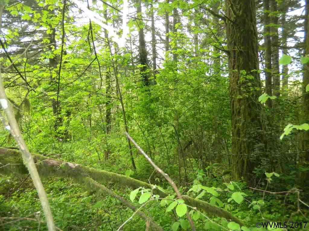 Bryant  St, Falls City, OR 97338