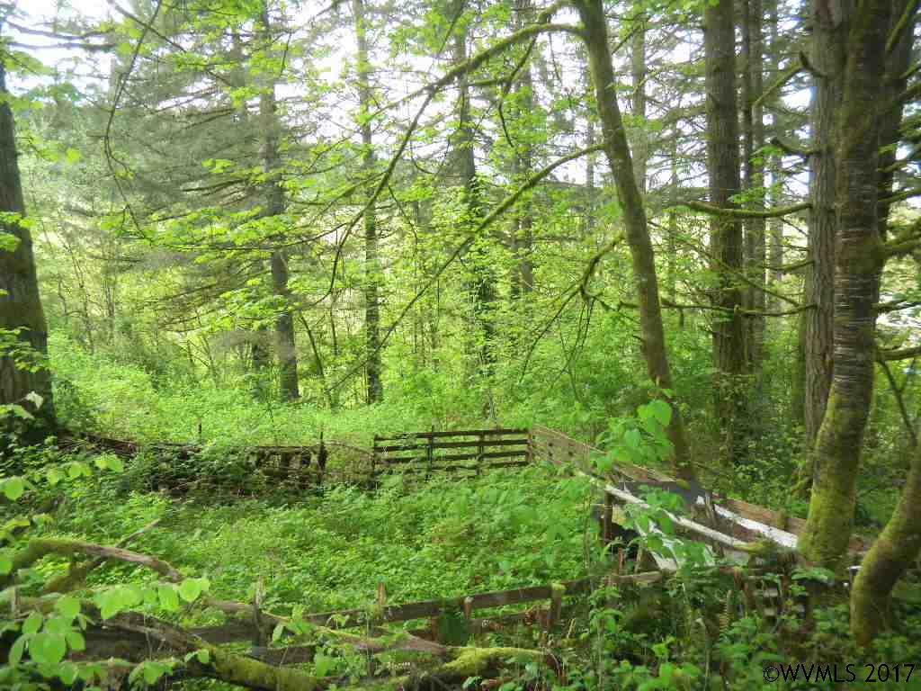 Bryant  St, Falls City, OR 97338