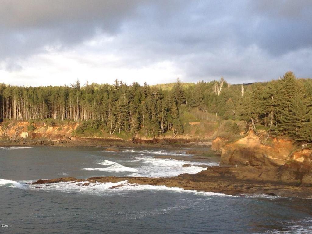 T/L 1900 Creek Side, Depoe Bay, OR 97341