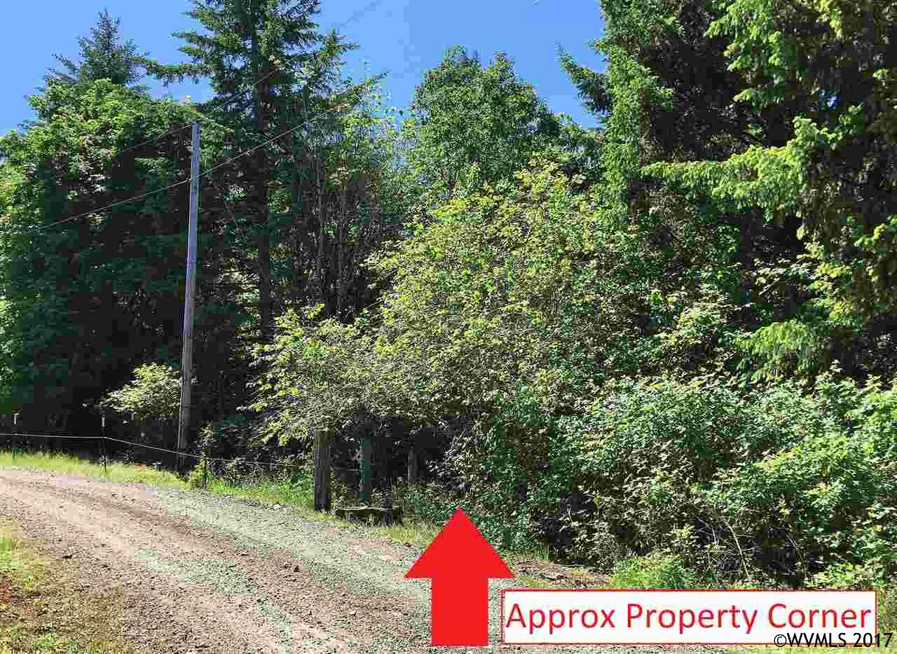 Middle Ridge  Rd, Lebanon, OR 97355
