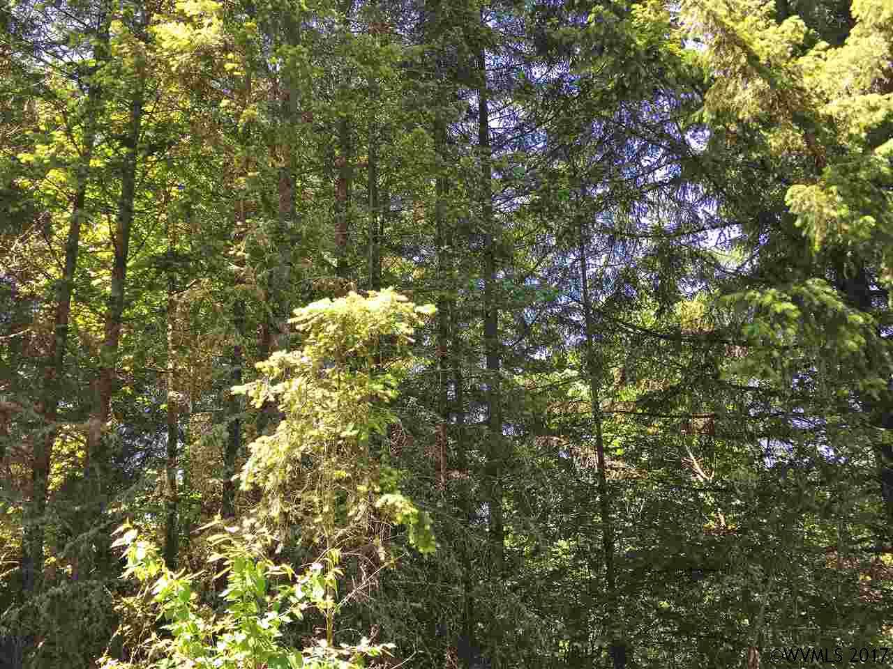Middle Ridge  Rd, Lebanon, OR 97355