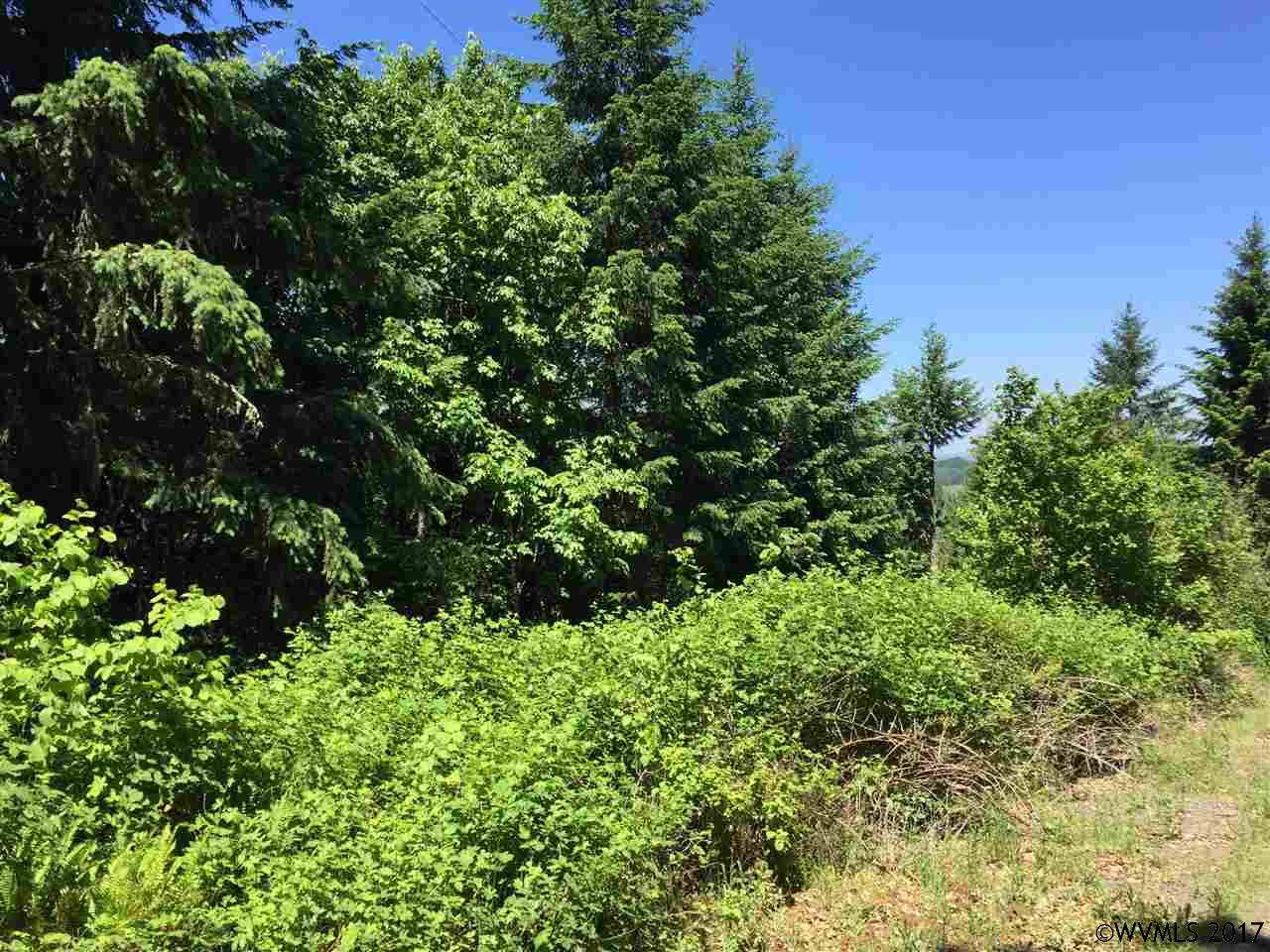Middle Ridge  Rd, Lebanon, OR 97355