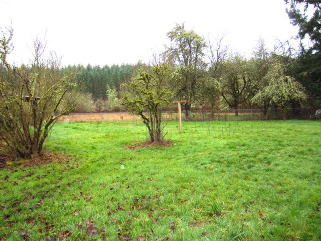38791 Olmart WayLebanon, OR, 97355Linn County