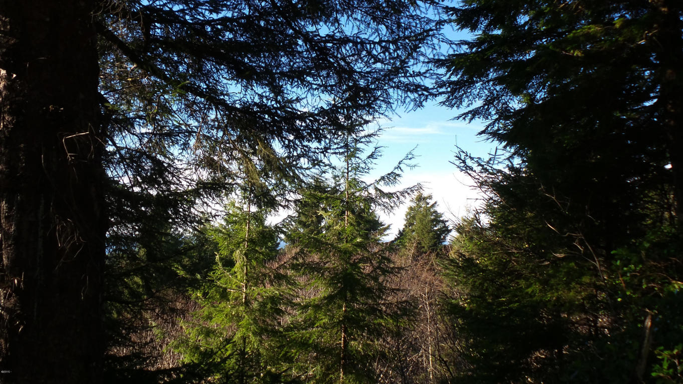 2910 NE Klamath, Newport, OR 97365