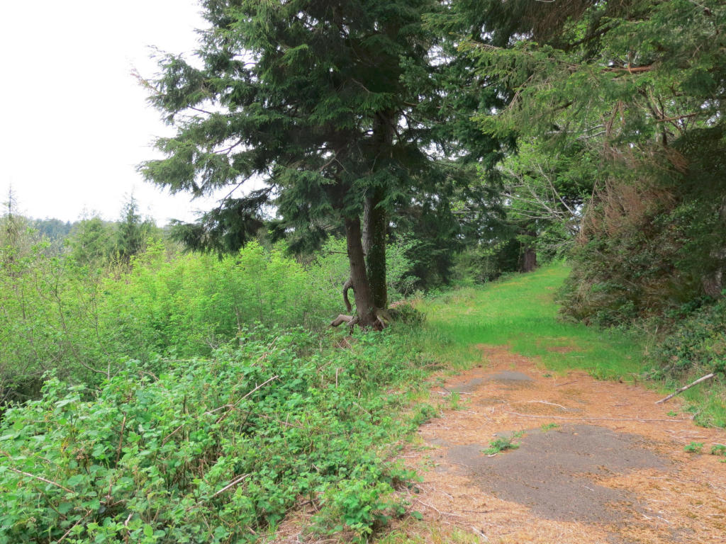 Lot 22 NE Lakewood, Newport, OR 97365